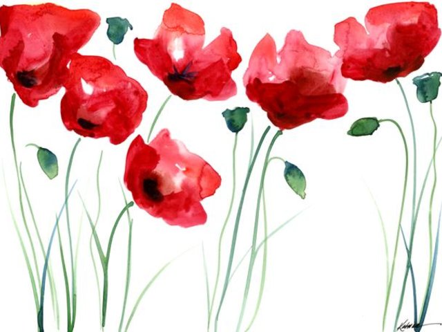 A Spalsh of Poppies note card set