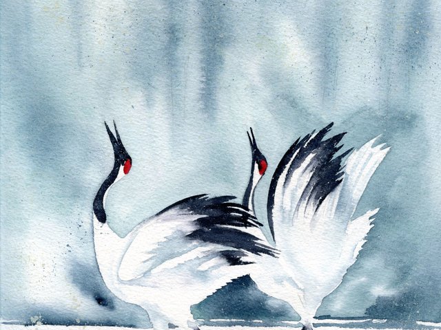 watercolor of 2 black & white cranes wings uplifted against snowy landscape