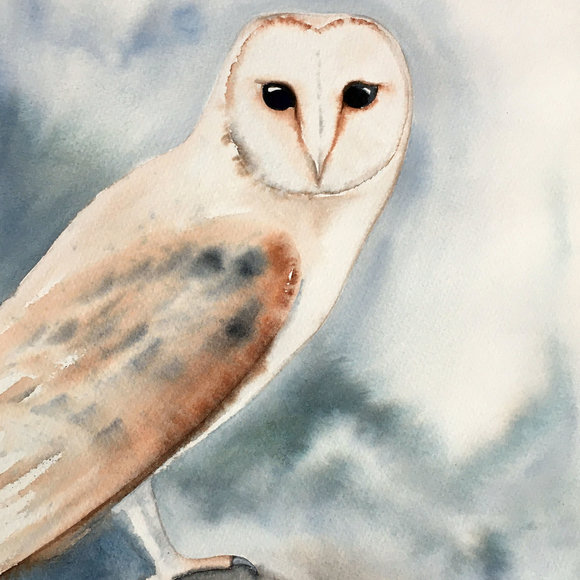 Barn Owl Watercolor II, $150 9 x 12" original