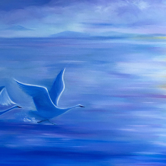 "Homecoming, Tundra Swans" original oil painting