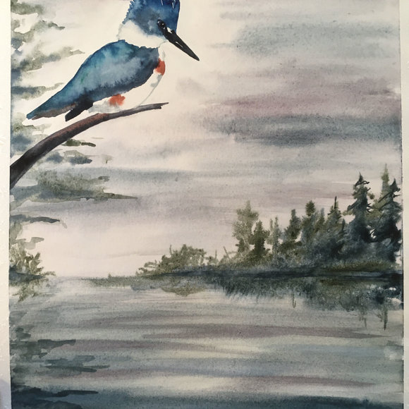 Kingfisher  9 x 12" Original Watercolor