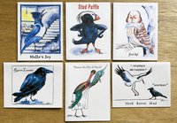 6 Bird Humor designs