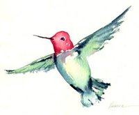 Anna's Hummingbird watercolor notecard