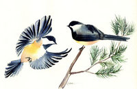 Black Capped Chickadees watercolor notecard