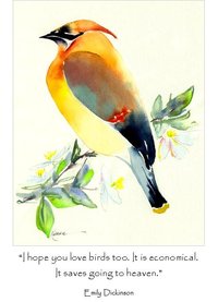 Cedar Waxwing with quote