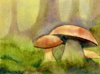 watercolor of 2 mushrooms in moss with shadowy trees behind