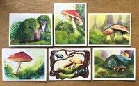 image of 6 Forest Floor watercolor assortment by Katrina Meister