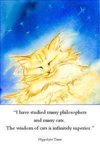Ginger Dreams philosophers cat quote note card