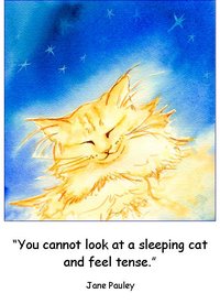 Ginger Dreams sleeping cat quote note card