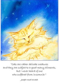 Ginger Dreams delicate creatures quote note card