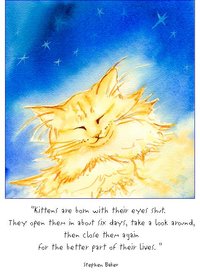 Ginger Dreams kittens quote note card