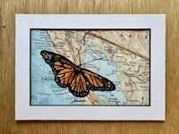 watercolor painting of Monarch Butterfly on map of Mexico shown matted