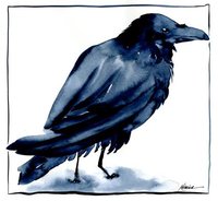 Raven totem animal note card