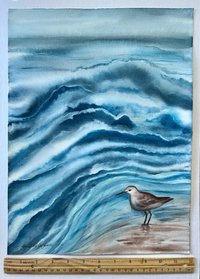 with ruler for size reference watercolor painting of sea bird and ocean waves