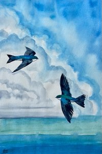 watercolor painting of 2 swallows with clouds and blue sky