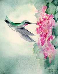watercolor of hummingbird in flight feeding at cluster of small pink flowers