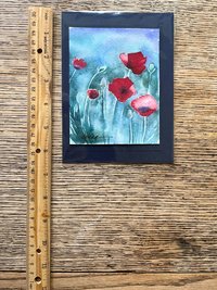 watercolor painting of red poppies with ruler for size comparison