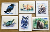 6 assorted animal notecards