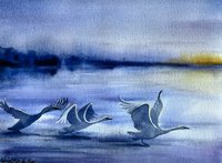 Watercolor art of 3 swans about to take flight in a misty lavender landscape