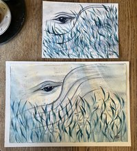 2 Watercolor paintings of whale eye and sea grass (to compare size)