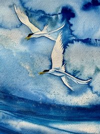 "Terns of the Tide II" an Original Watercolor Painting