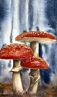 "Three Redcaps" a small original Watercolor Painting