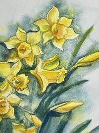 "Daffodils" an Original Watercolor Painting