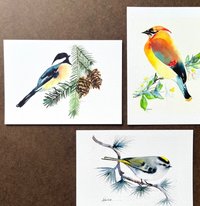 Songbirds Trio of Mini-prints