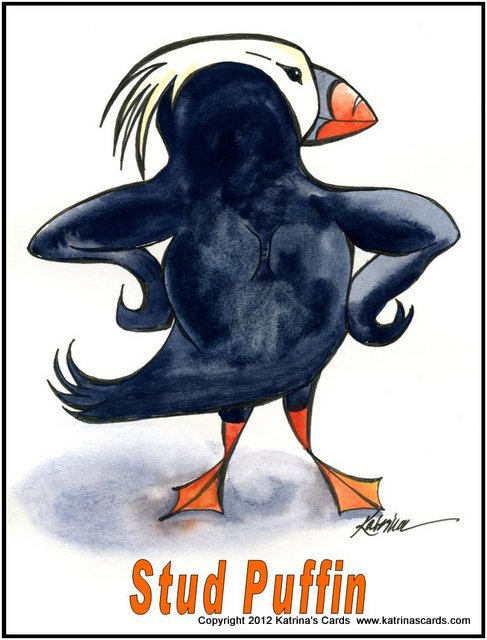 Stud Puffin note card