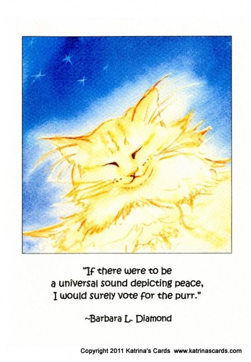 Ginger Peace Purr Quote Note Card Gift Set