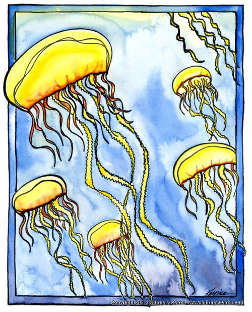 Jellyfish note  card Gift Set