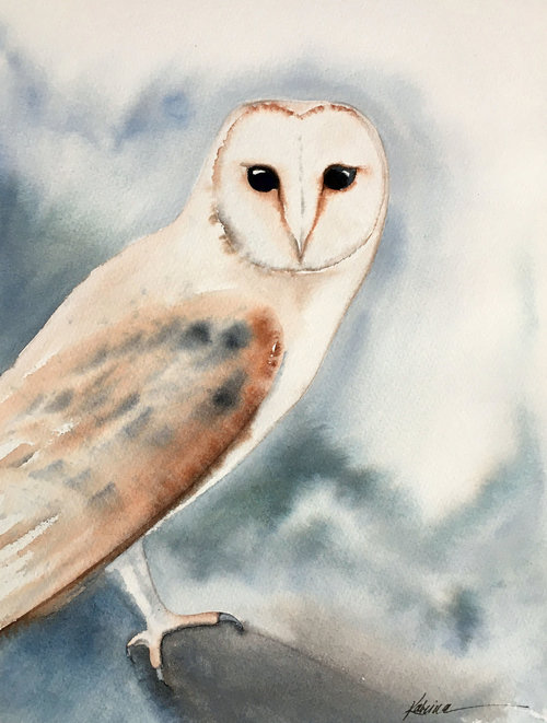Barn Owl Watercolor Original