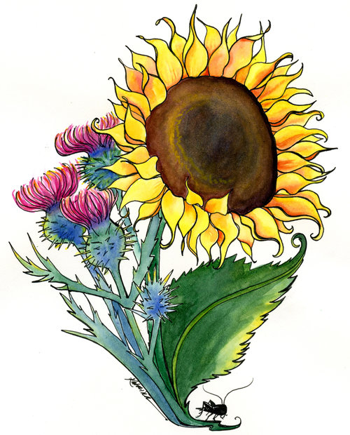 Watercolor and pen art of Sunflower and thistles with cricket