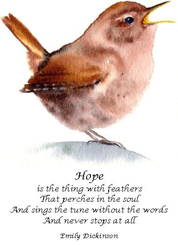 Pacific Wren with Emily Dickinson quote card