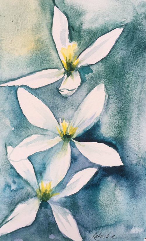 watercolor of white blossoms on washy green blue background