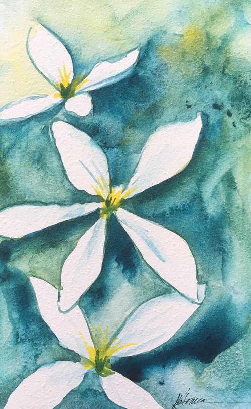watercolor of white blossoms on textured green and blue background