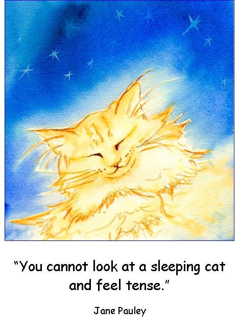 Ginger Dreams sleeping cat quote note card
