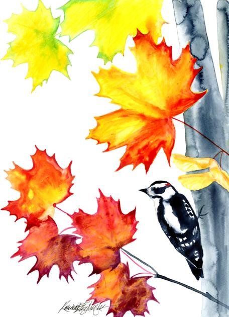 Autumn Downy Woodpecker