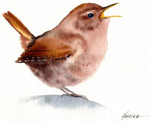 Pacific Wren Watercolor by Katrina Meister