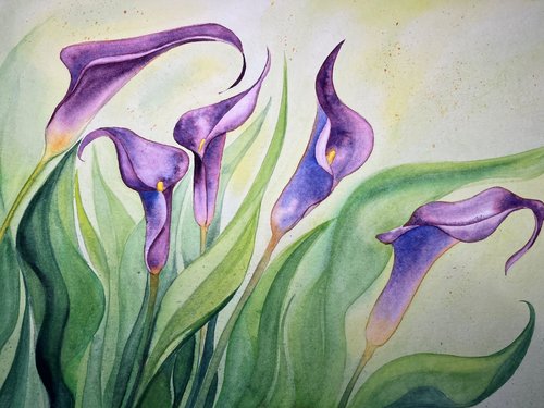 watercolor of purple calla flowers in lush green leaves