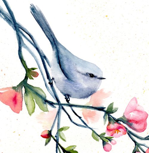 watercolor of tiny grey song bird on coral and pink quince blossom branches