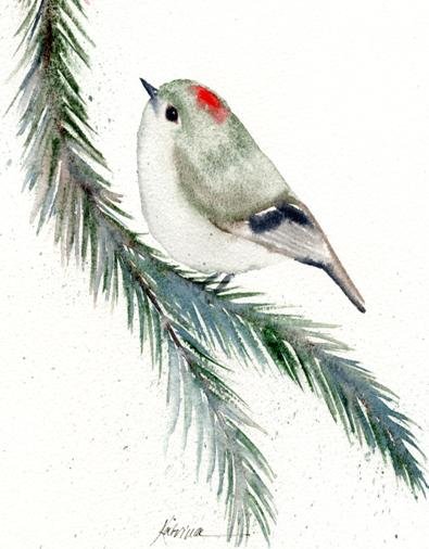 Ruby-crowned Kinglet watercolor notecard