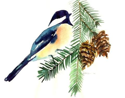 Black-capped Chickadee watercolor notecard