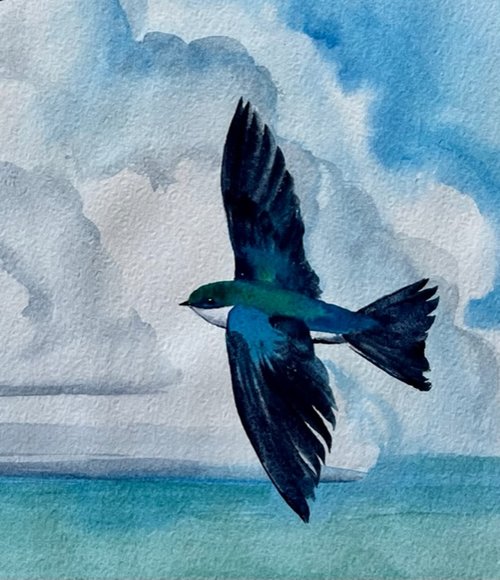 watercolor painting of swallow with clouds and blue sky