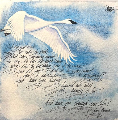 Watercolor painting of white swan flying in a spring sky with handwritten poem
