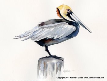 Pelican Note Card Gift Set
