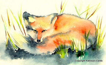 Red Fox Watercolor by Katrina Meister