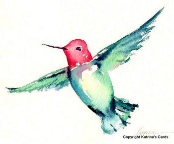 Anna's Hummingbird Notecard Gift Package 5 Cards and Envelopes