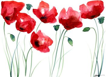 A Spalsh of Poppies note card set