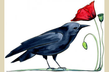 Crow and Poppy Watercolor